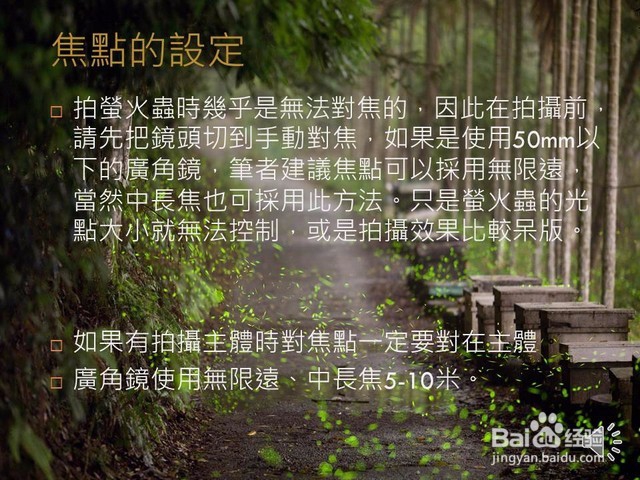 萤火虫拍摄技巧