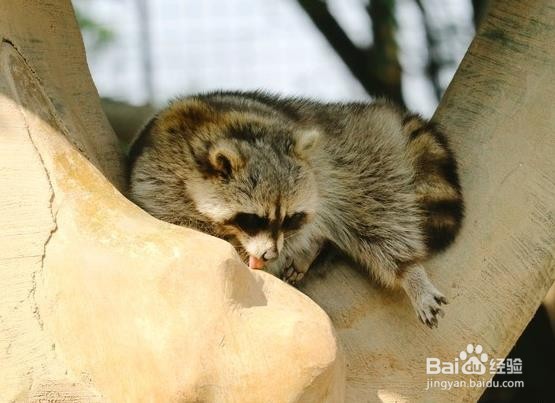 “辣味之乡”东莞有哪些好玩的地方?