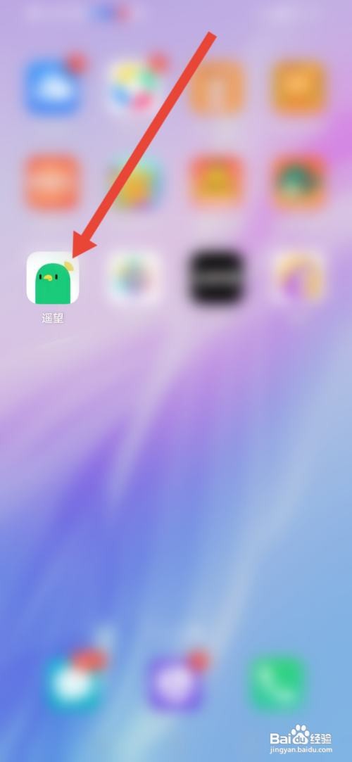 如何查看遥望的资质信息