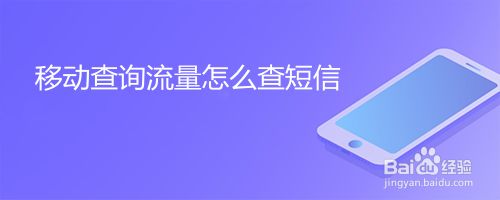 怎么查询手机流量（怎么查询手机流量去向）
