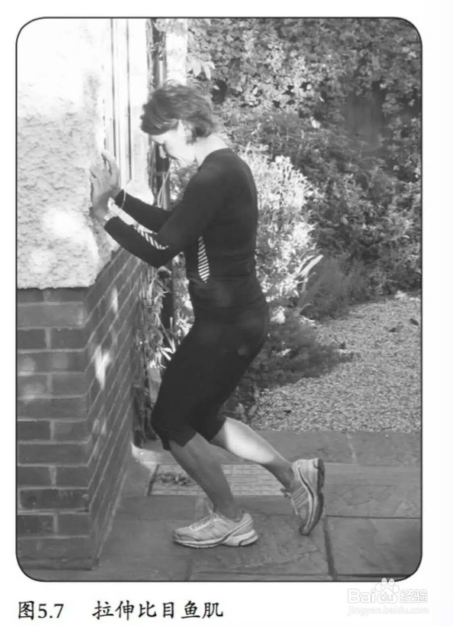 比目鱼肌怎么练