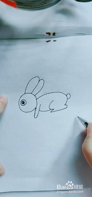 如何画简笔画小兔