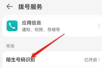 拨号服务的陌生号码识别功能怎么开启