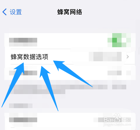 苹果手机怎么启用独立5g