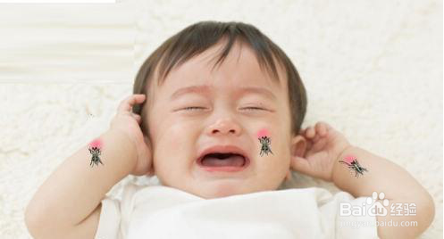 避蚊驱蚊小妙招