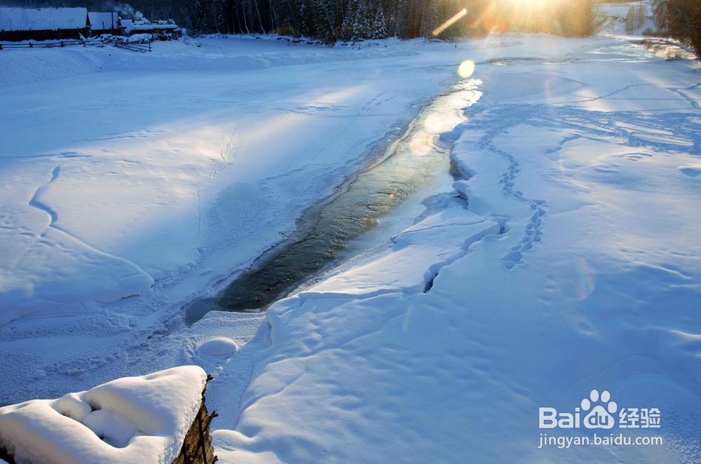 喀纳斯初冬出行指南