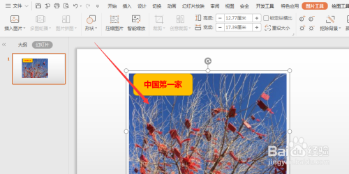 WPS幻灯片中如何将图片和形状组合在一起