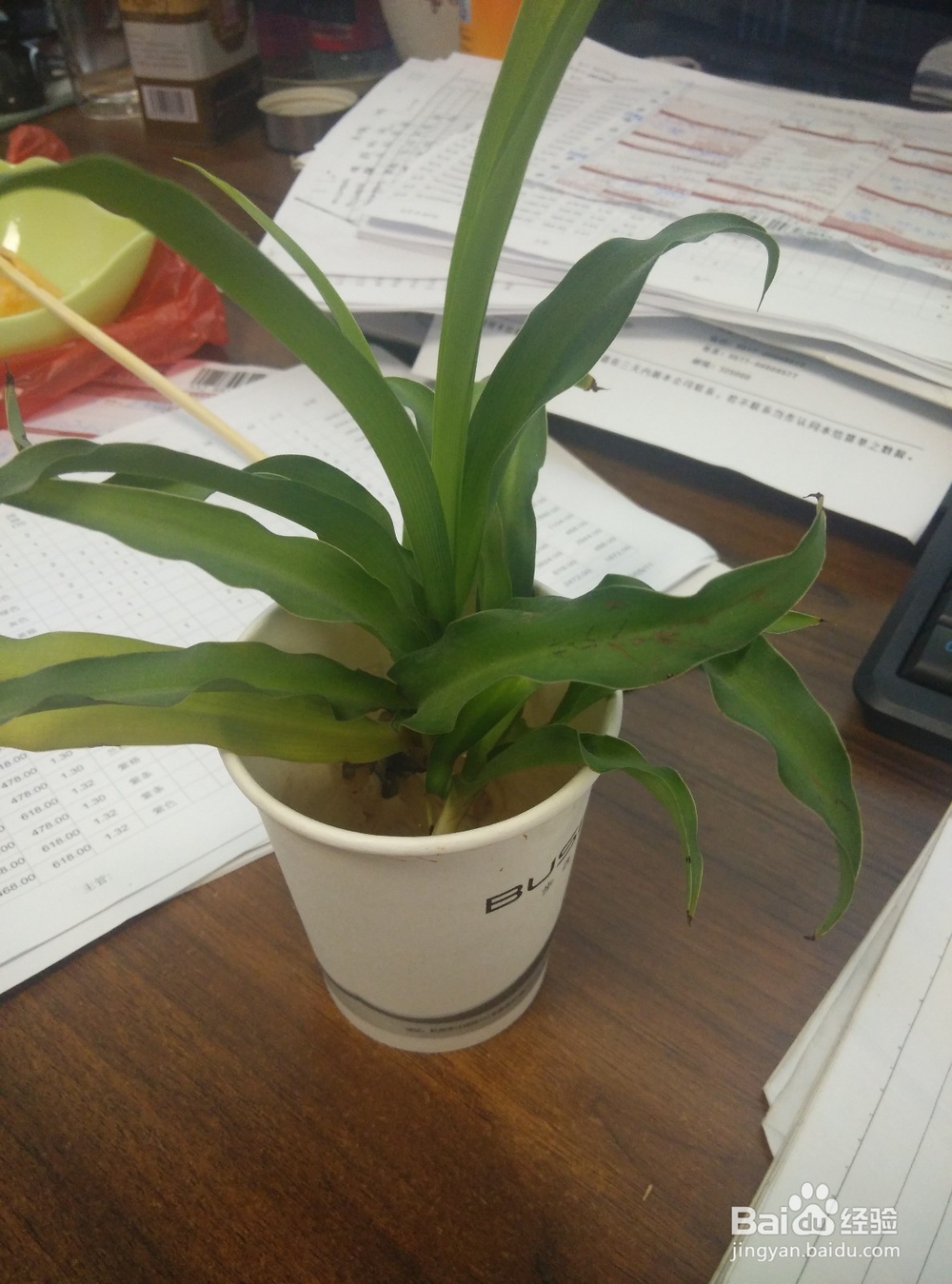 告诉你苏州人怎么过冬至