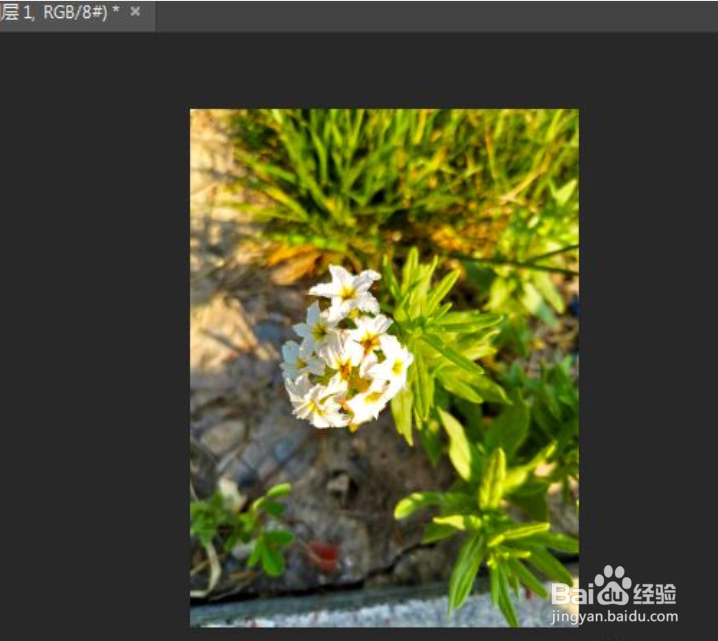 如何将图片的色彩调成春天的暖色