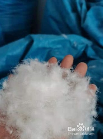 怎么样洗涤和保养羽绒服