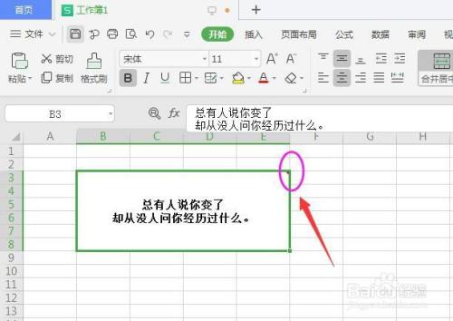 WPS表格中怎么添加自动隐藏的批注信息