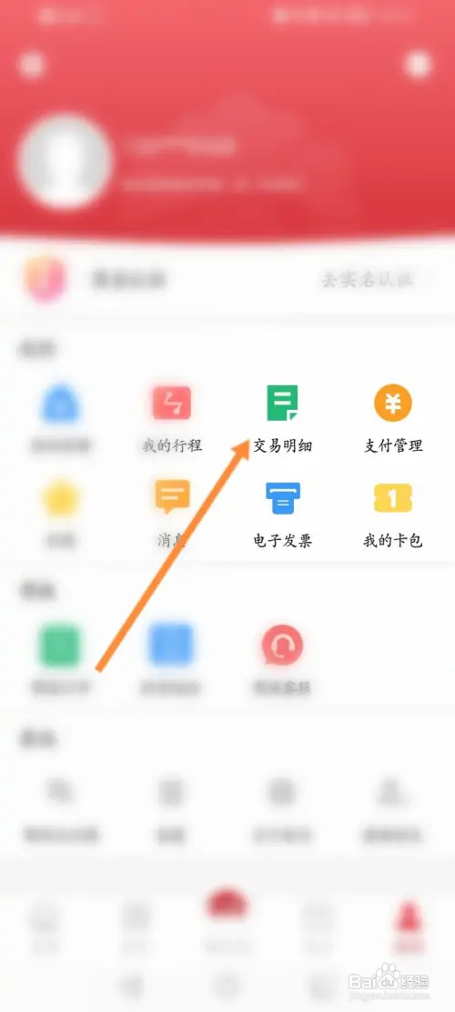 洛易行如何查看消费记录