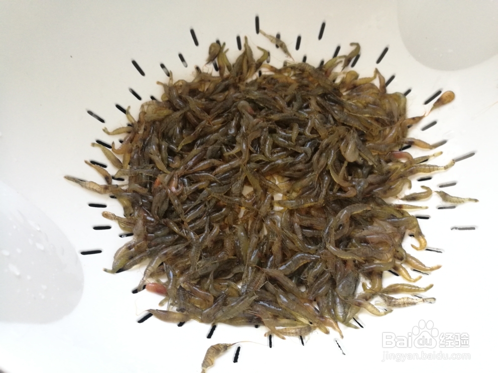 海鲜美食-双椒小河虾的做法