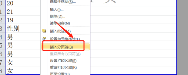 excel怎么插入分页符，excel怎么删除分页符