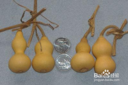 葫芦的各型分类