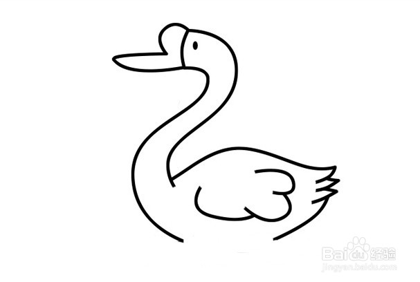 大白鹅简笔画 分步画法
