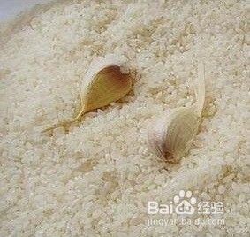 大米夏天保存怎么不生虫