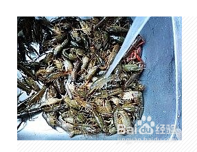 五香炒虾尾的做法大全