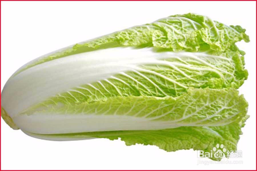 <b>冬季大白菜的健康吃法食谱</b>