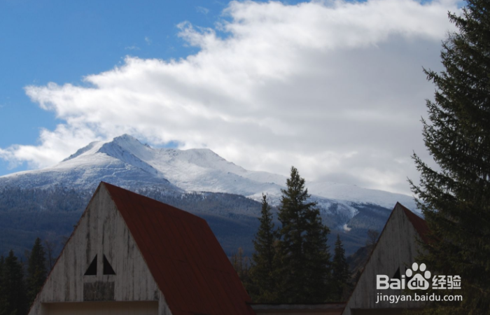 新疆喀纳斯图瓦村怎么玩?