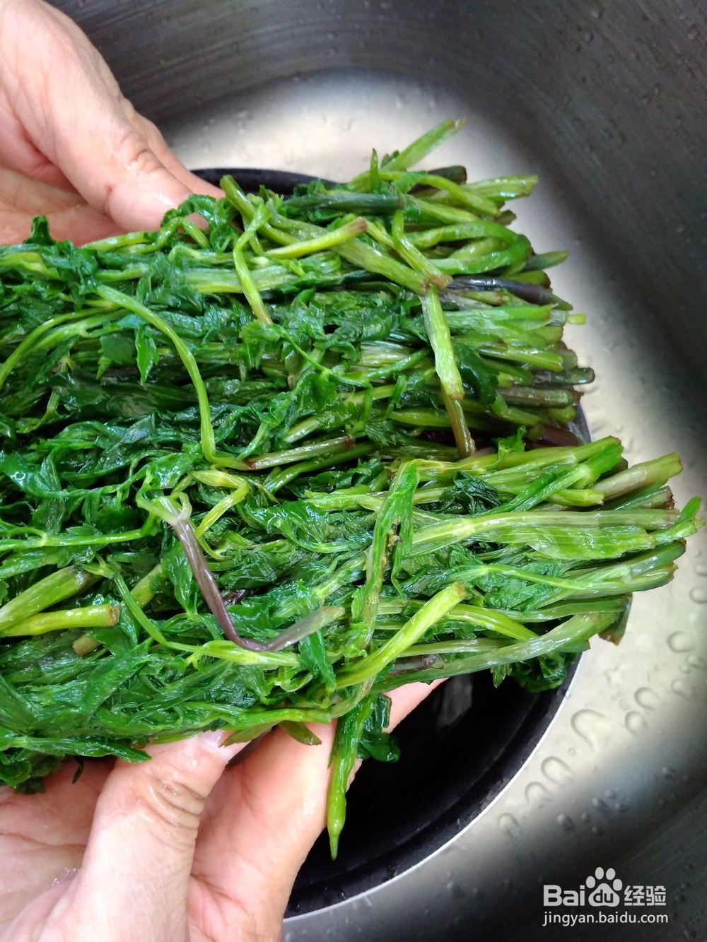 包水芹菜陷包子技巧