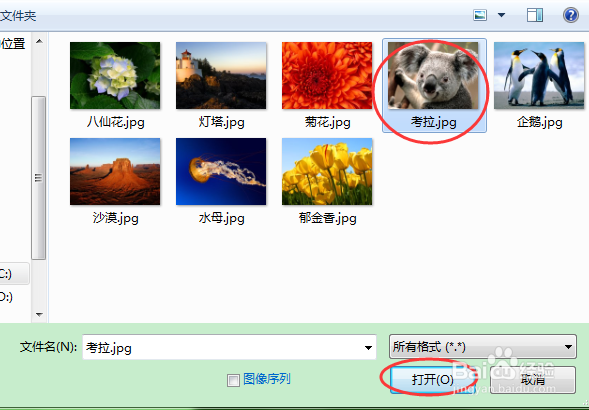 PS怎么插入图片?