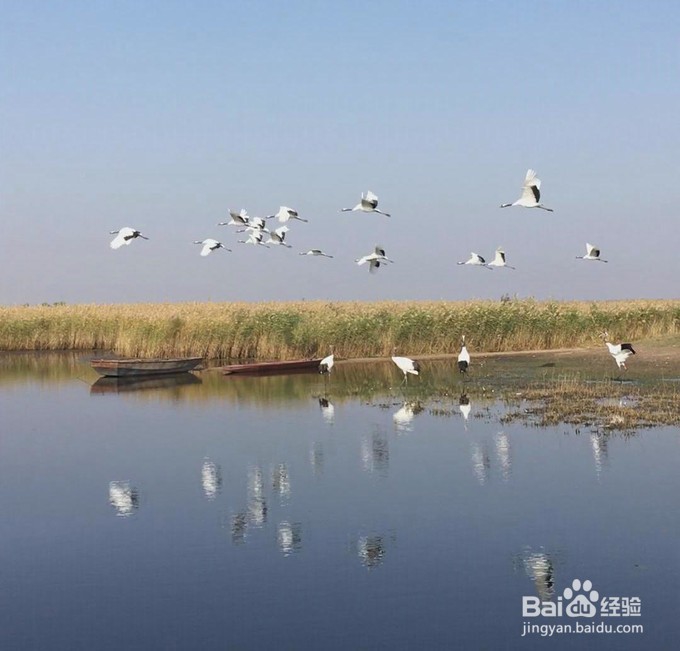 一路向北，风林火山——黑龙江