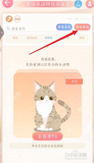 恋与制作人怎么领养宠物