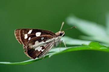 孩子嫉妒他人怎么办