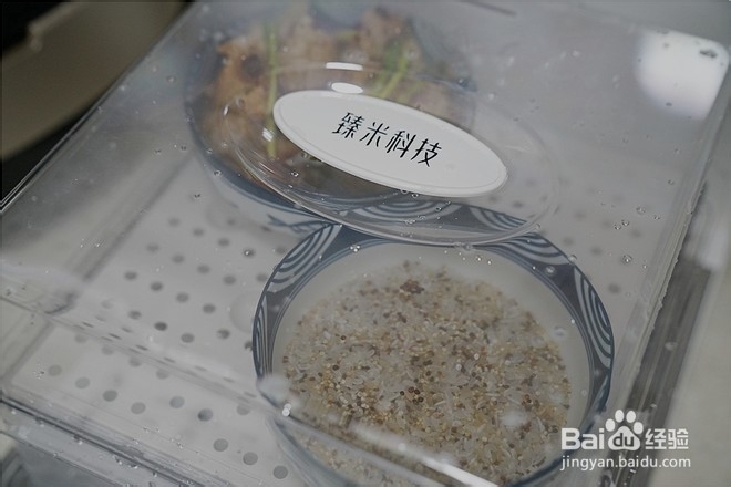 再教你做香菇菜蒸排骨