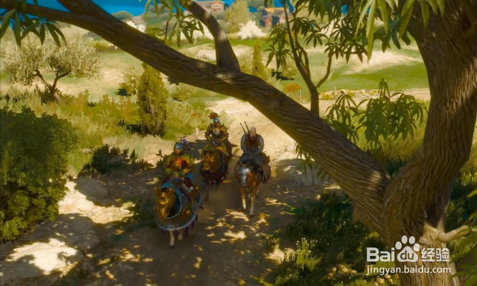 巫师3怎么去陶森特