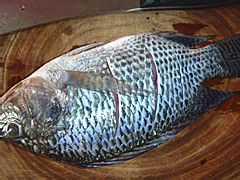 烧出来的美味——红烧鱼