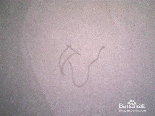 简笔画 百合花怎样画