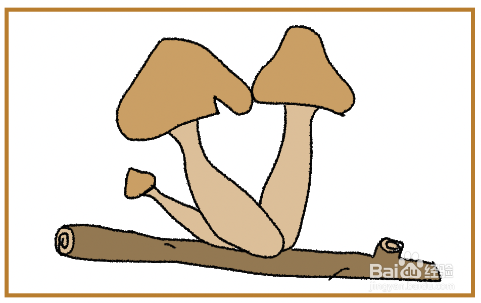 茶树菇简笔画图片