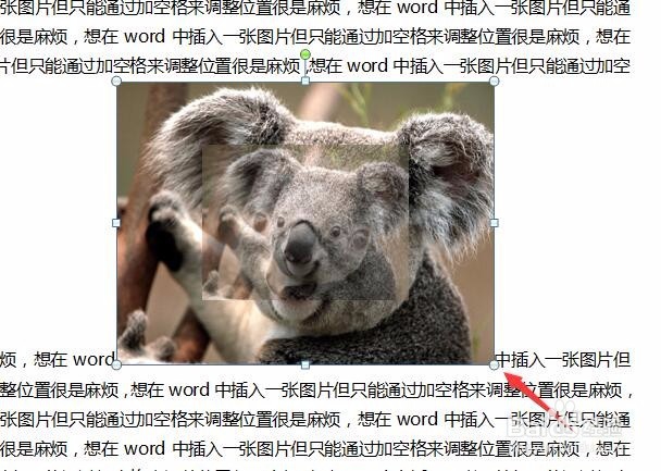 word怎么插入图片并移动