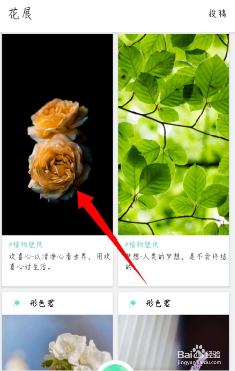 形色怎么下载植物壁纸