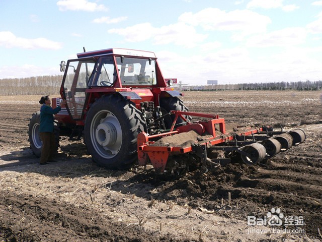根线虫有什么危害？生姜的根结线虫怎么消灭？