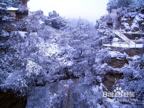张家界旅游线路(图文细化版)