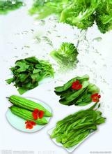 春季饮食养生宝典