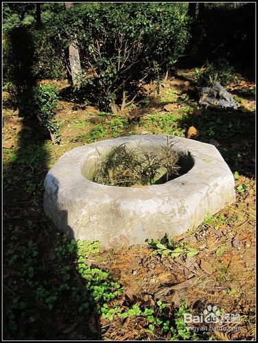 菊花台公园游玩简介