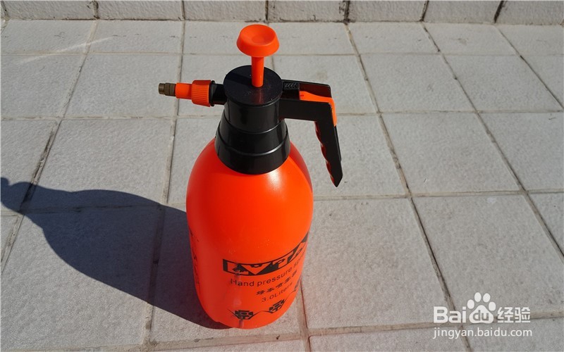 我为什么爱养花