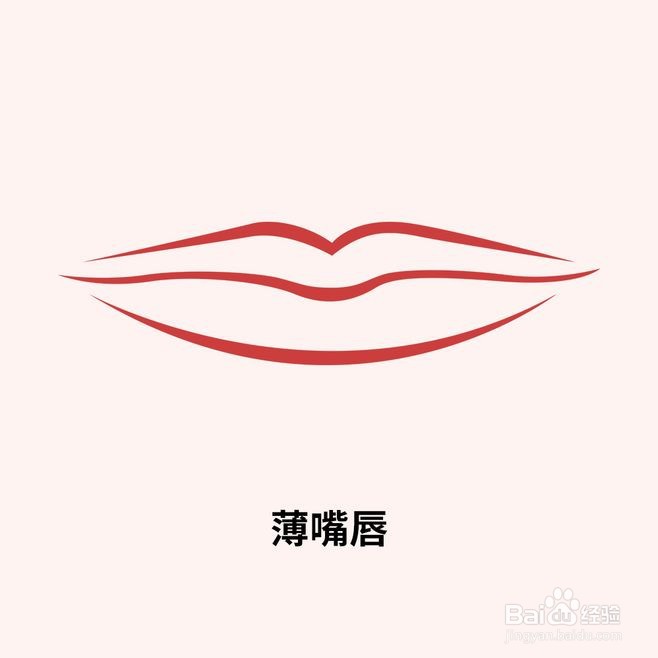 嘴唇类型图片