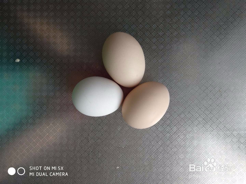 简单美味小辅食—蒸蛋羹