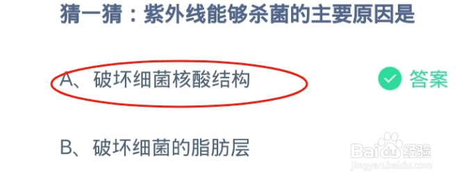 蚂蚁庄园2024.12.3:紫外线能够杀菌原因?