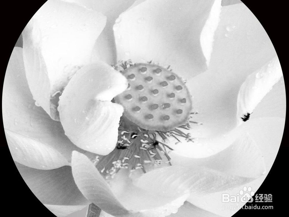 3D黑白位图怎么弄