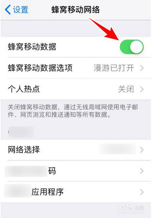 苹果手机打不开互联网怎么回事