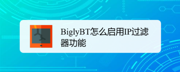 BiglyBT怎么启用IP过滤器功能