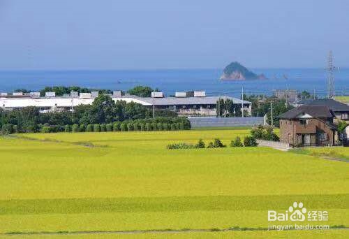 在旅游中有哪些需要改进的