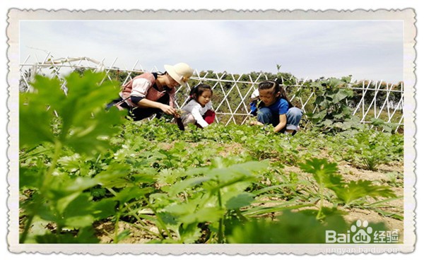 长沙六一儿童节游玩好去处农家乐泉鹭山庄