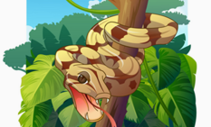 毒蛇咬伤怎么办